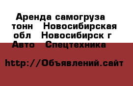 Аренда самогруза 5 тонн - Новосибирская обл., Новосибирск г. Авто » Спецтехника   